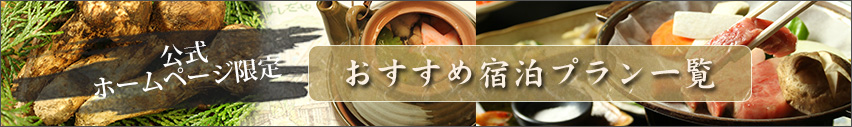 公式ホームページ限定 おすすめ宿泊プラン一覧