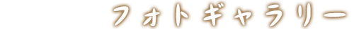 フォトギャラリー
